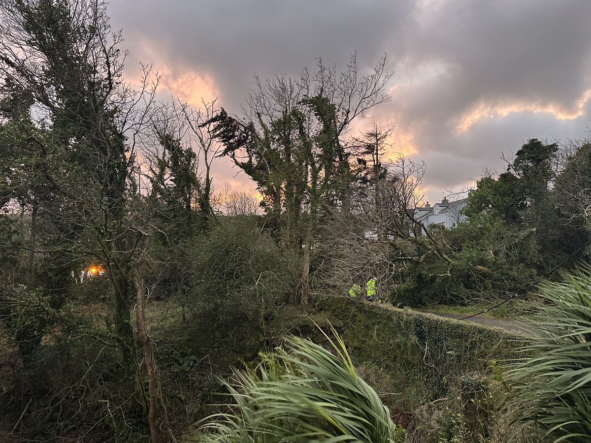 daffydowndilly's tweet photo. Big thank you @manxtelecom who managed to free our fibre line π¬
@manx_utilities have made safe the power line. Kept all homesβ lights on!!
Dhoon Loop Road blocked by fallen trees just north of Dhoon Glen til @iominfra able to clear
New telegraph pole needed! #iom #hoolie https://t.co/0nF3XBr9lu