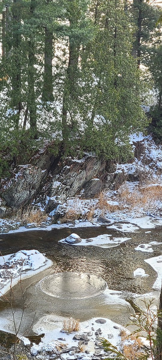 La nature est la plus grande des artistes.
- - -
Le rond de glace, parfaitement rond, est son oeuvre. 
❣️