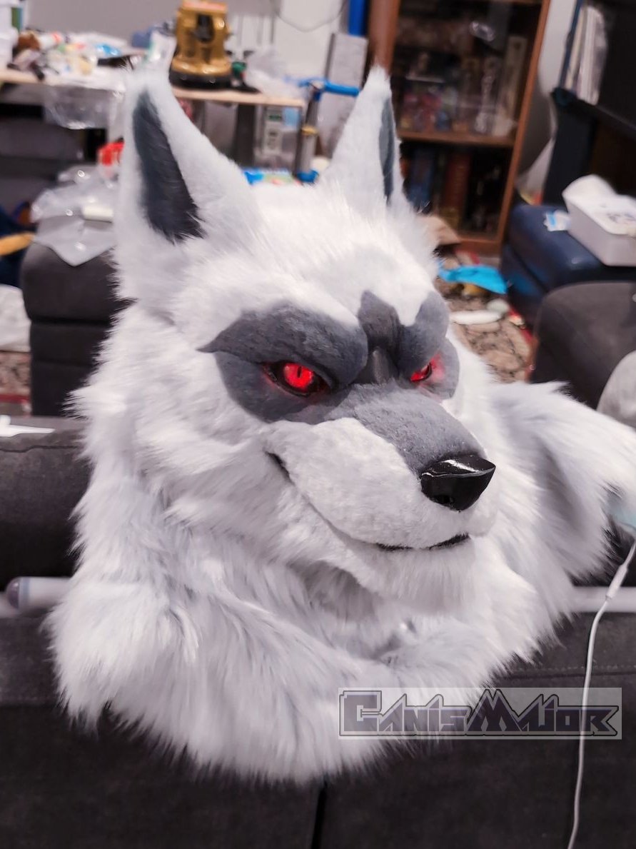 Another pic I took during nighttime, fur color is different because lighting is different xD