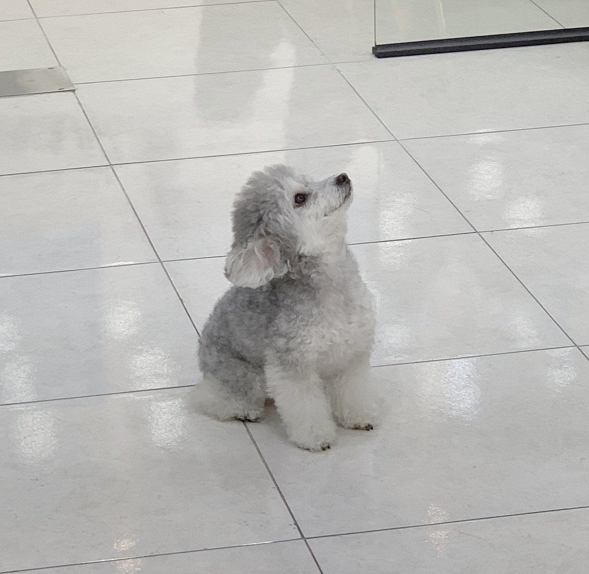 수리야 언니가 살기좋은 세상 만들어줄게