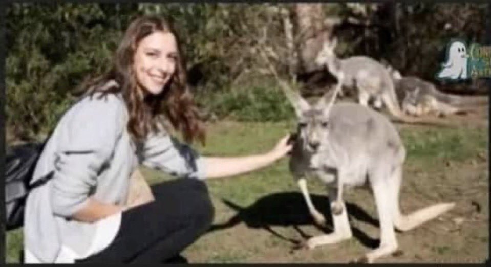 evgenyrekhter's tweet image. Хотя они кажутся милыми и не опасными, но на самом деле они очень шумные, довольно агрессивные, а их содержание требует высоких затрат.
А справа – кенгуру. О кенгуру я знаю мало.