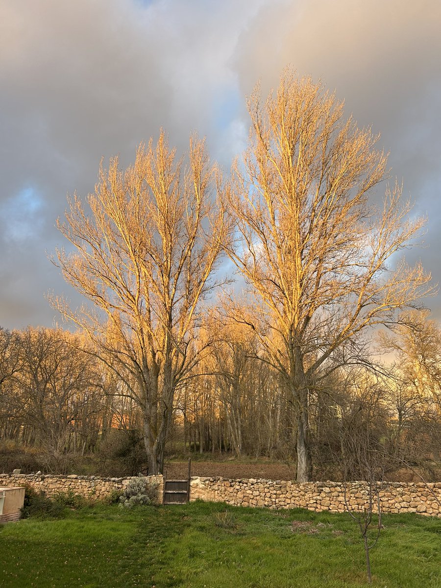 Tardes de invierno en <a href="/MomblonaE/">MomblonaExiste</a>. Días cortos que se alargan frente al fuego.  Buena tarde.