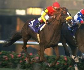 HORSERACING1002's tweet photo. SKY CLASSIC🇨🇦1987
(NIJINSKY II - NO CLASS BY NODOUBLE)
#SkyClassic
B/O Sam-Son Farms (On) Mar 17, 1987.
T/ James. Day
29-15-6-1---$3,320,398
1989 champion 🏆 2yo Colt🇨🇦,
1991 champion 🏆 older horse and Turf horse🇨🇦.
1992 Champion 🏆 Turf horse 🇺🇸.
Grey S G3, Summer S G3, Cup and Saucer S, Rothmans International G1, King Edward Gold Cup G3, Connaught Cup, Seagram Cup , Canadian Maturity, Turf Classic G1, Arlington H G2, Caesars International H G2, Manhattan H G2, Dixie H G3.
2nd Claredon S, Vandal S, Rothmans International S G1, Breeder's Cup Turf G1, Arlington Million G1, Turf Classic G3.
NCR Woodbine 12f 2,27,⅘.
NCR Belmont 12f 2,24,⅗.
Stood Pin Oak Farm
Sired 926 foals, 597 winners, 65 sw, Abraham Classic, Hyperbaric, Magnetic Eyes, Miracle Painting, Nothing to Lose, Sky Conqueror, Sur la Tete, Texas Gal, Thornfield.
Died Apr 30, 2015