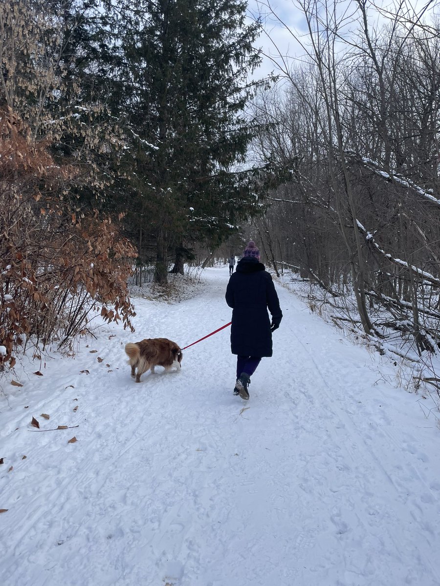 orleansparkrun's tweet photo. 217th event / 217e évènement - DECEMBER 07

We had 32 participants, who ran, jog or walk in this first snow!

Thanks again to our volunteers, who made this event possible. 🏃🏻‍♂️🏃🏼‍♀️🚶‍♀️🦮 https://t.co/QSgNoBWtfx