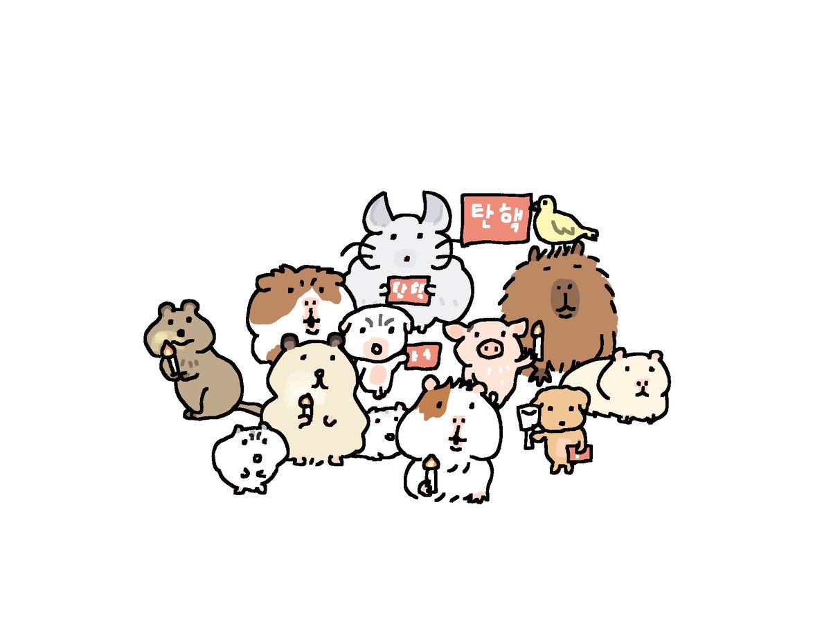 띠리 (@thischeeseball) on Twitter photo 