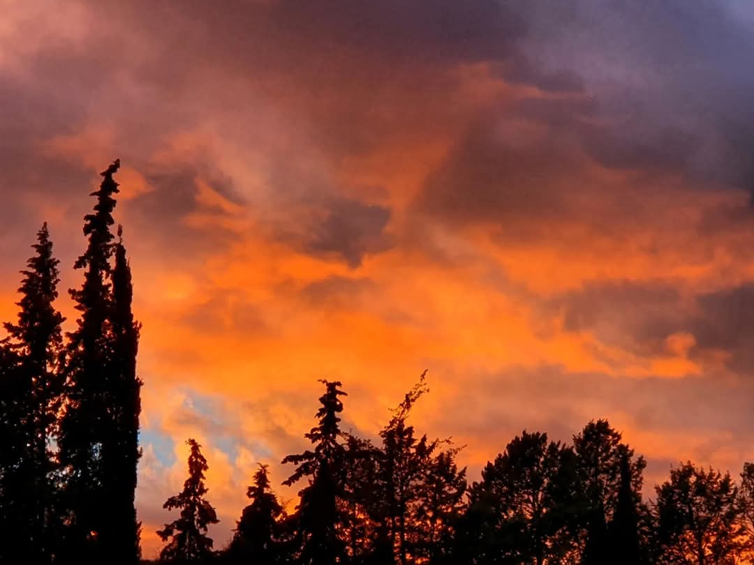 meteoecovisual's tweet photo. Atardecer tras la lluvia con estratos y algo de candilazo con una temperatura de 8.9°C desde Solsona.
#solsona
#solsones
#cielos #cielo #nube #nubes #meteo #meteorologia
#atardeceres #anochecer
#candilazo #crepúsculo #puestadesol
#observadormeteorologico https://t.co/NMcFpWPBNB