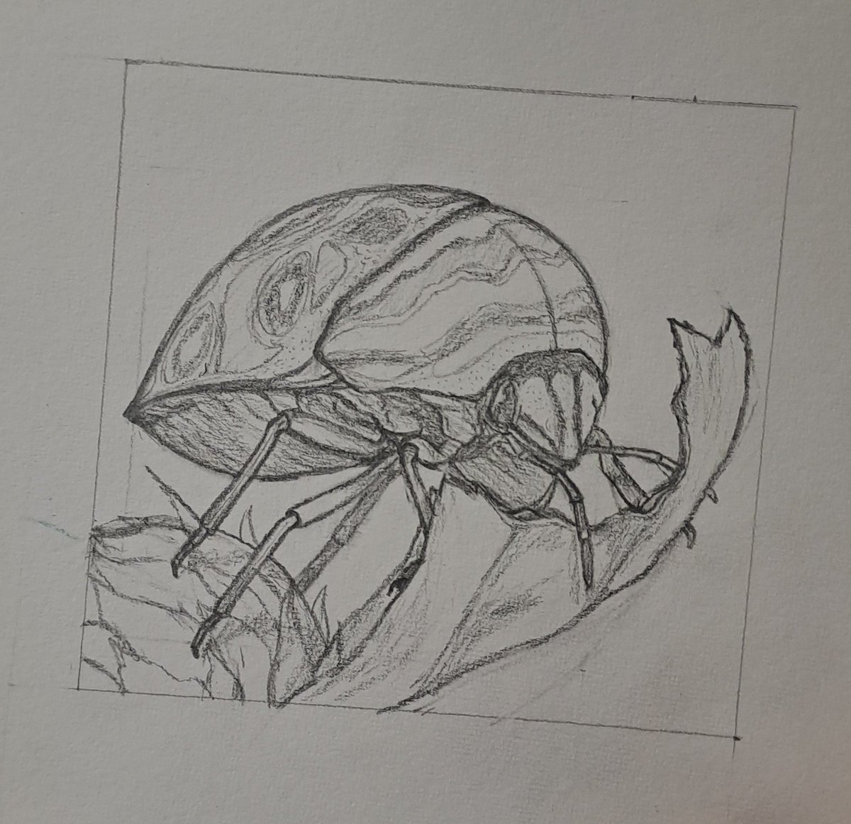 RedTriesArt's tweet photo. say hello to Polites :)
#sketch #art #beetles https://t.co/C45WU0y0md