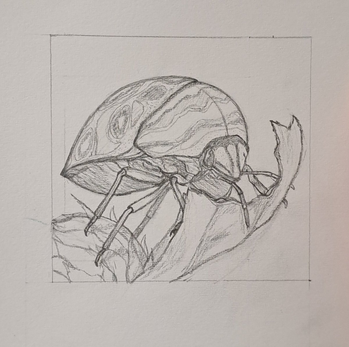 RedTriesArt's tweet photo. say hello to Polites :)
#sketch #art #beetles https://t.co/C45WU0y0md