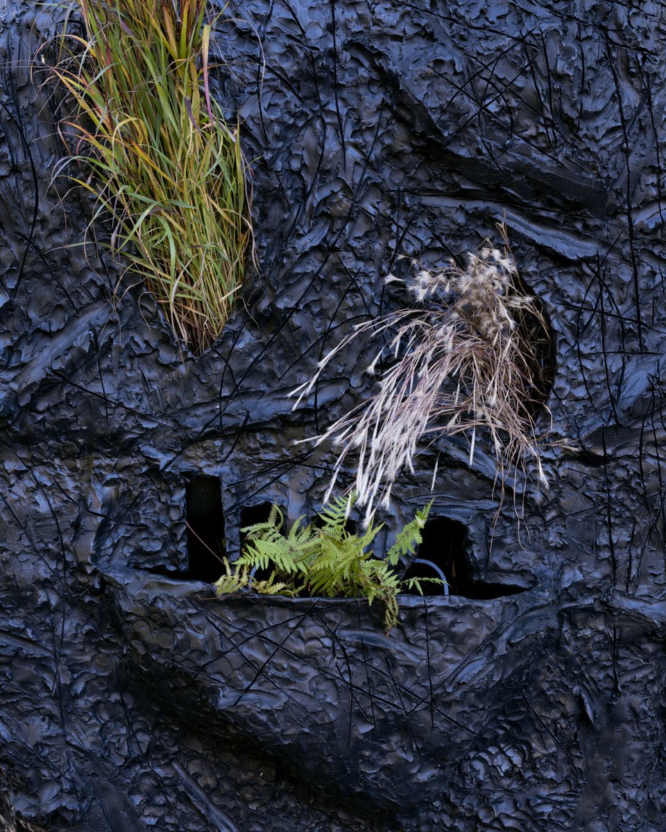 StormKingArtCtr's tweet photo. Can you guess the Storm King collection artwork from this detail photo? 

Answer posted at 4PM!
 
📷Jeffrey Jenkins https://t.co/6z050dl9Vp
