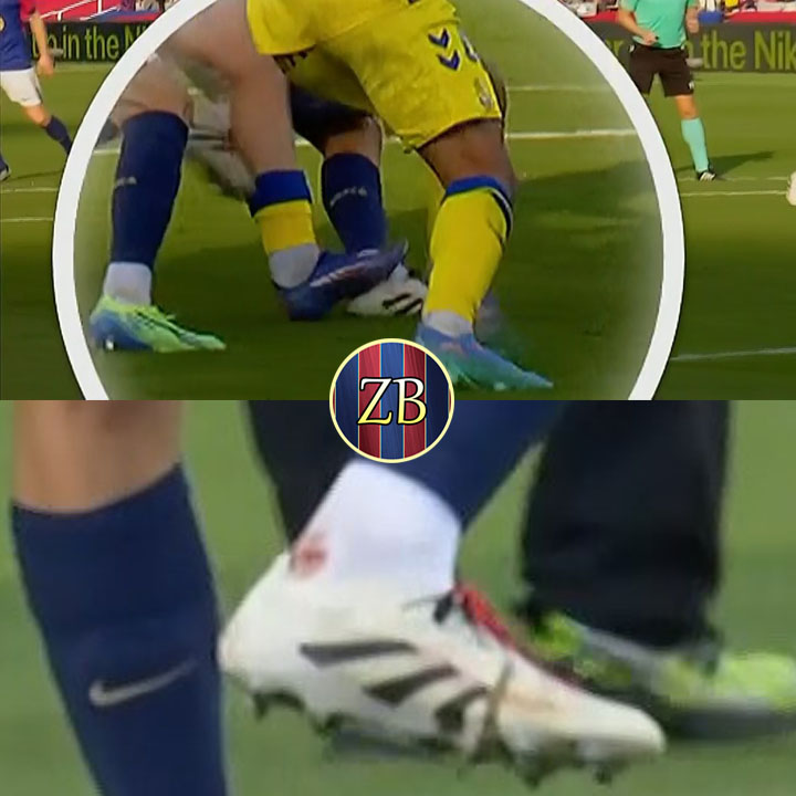 Zona Blaugrana tweet media