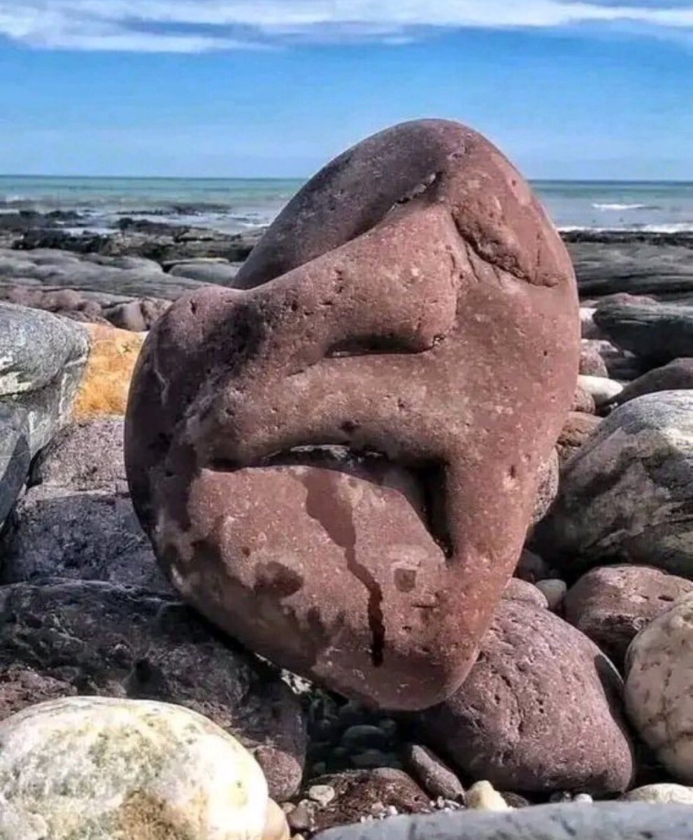 Ümit özdağın suriyede esadın kaybetmesinden sonraki taş kesilmiş hali