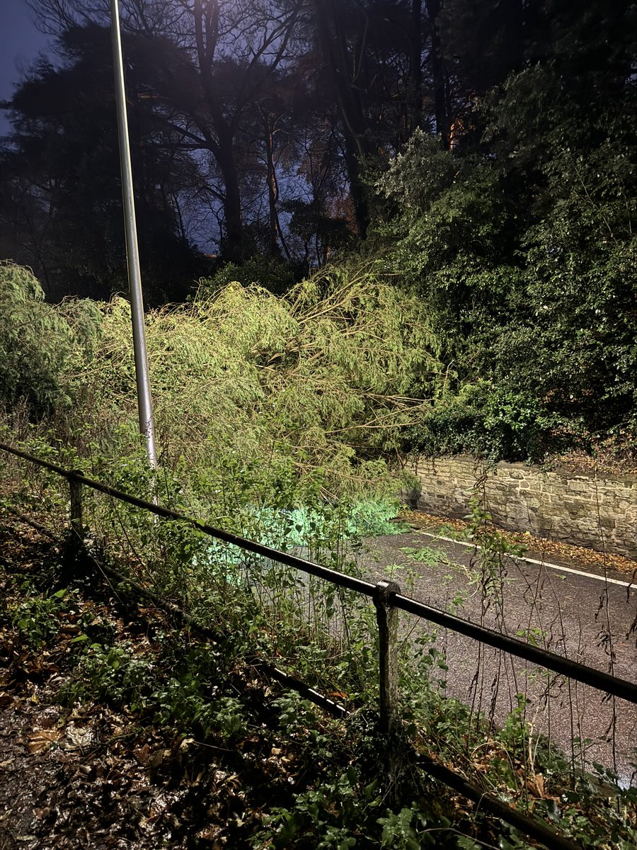 _wongani's tweet photo. @Oxford_Tube @OxfordBusCo @TheOxfordMail 

Tree has fallen in Headington Hill blocking all traffic and the footpath. https://t.co/ZDLbkv4Yox
