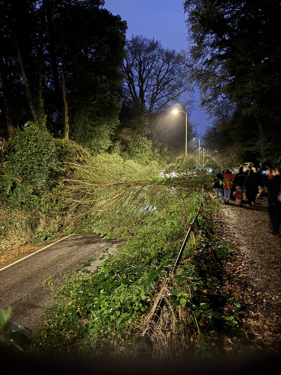 _wongani's tweet photo. @Oxford_Tube @OxfordBusCo @TheOxfordMail 

Tree has fallen in Headington Hill blocking all traffic and the footpath. https://t.co/ZDLbkv4Yox
