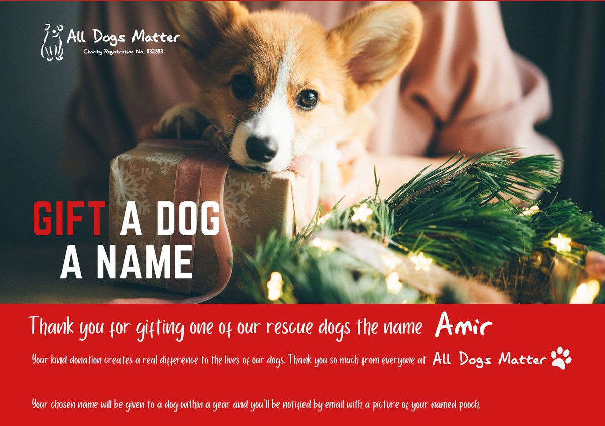 ADAonSOL's tweet photo. Day 255 of 300! We just named our 255th rescue dog โAmirโ Inspired by @amirhaleem 45 Rescue Dogs to Go! ๐ถ #Charity #300DogMission #ForAda #ADASOL
*PLEASE NOTE THIS IS A CERTIFICATE. TO SEE THE REAL LIFE DOGS. PLEASE VISIT @AllDogsMatter WEBSITE. THESE ARE USUALLY AVAILABLE WHEN HE/SHE GOES UP FOR ADOPTION* ๐ถ๐ โค๏ธ