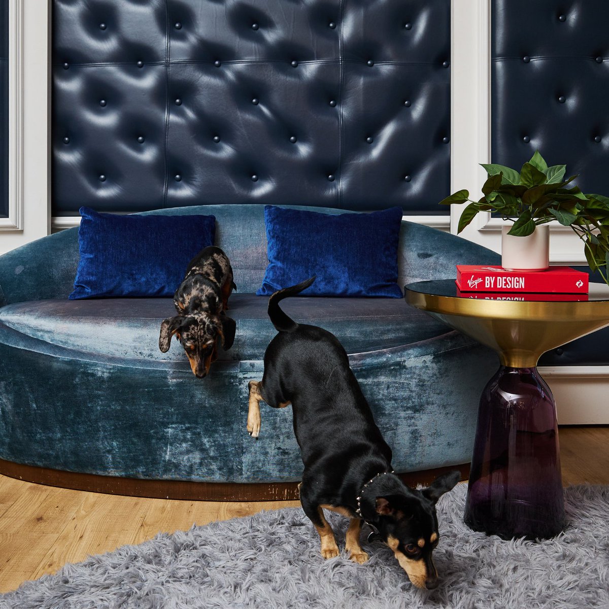 Virgin Hotels Chicago tweet media