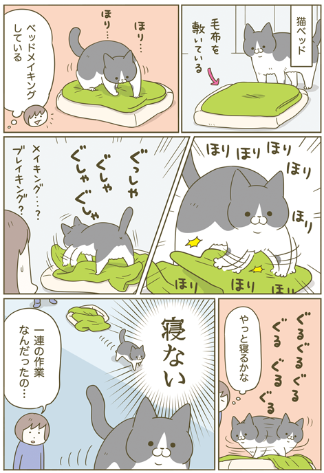 寝るのかい
寝ないのかい 