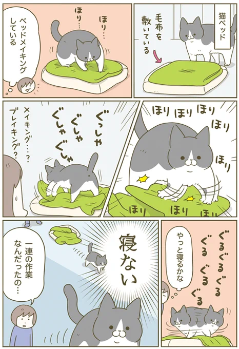 寝るのかい
寝ないのかい 