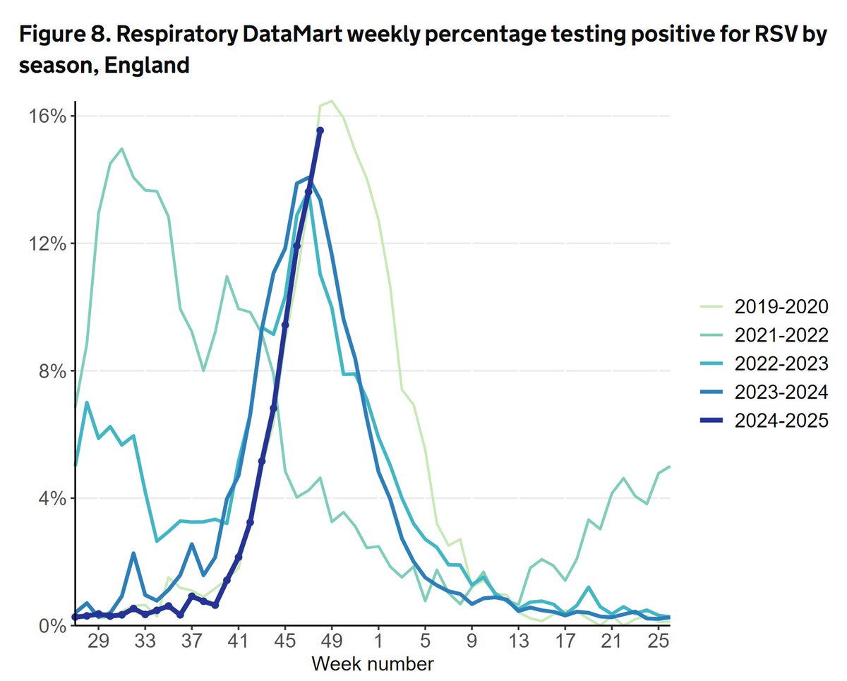 Damian Roland tweet media