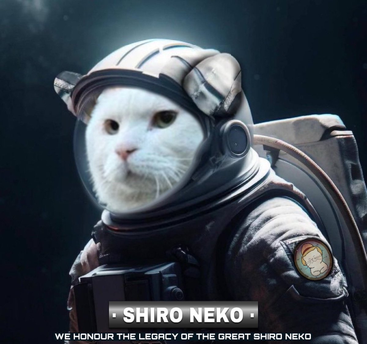 shironekoarmy's tweet photo. @GG1nvestments $SHIRO 白猫 🏮⛩️

We can keep going on and on but I'll tell you that the Shiro Neko OG community won't stop working.

You checked this out at 20k MC weeks before the cabal launch their scam @shiro now we are sitting a bit above 2m 

We keep emerging fast pace.

@CTOShiroNeko ⏳🐈 https://t.co/eIa6dZPe7p
