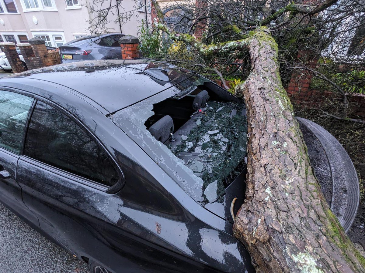 Jo Stevens tweet media