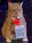 ReviMatterson's tweet image. Imma on hiatus for awhile, dunno what to draw and my mental health is decreased badly since I had been jumping from job to job for a year now. If yall need me I'll be sulking