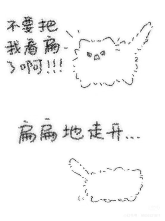 xiaomaormb's tweet photo. @TaoTie_s https://t.co/Rbyp2zMtqE