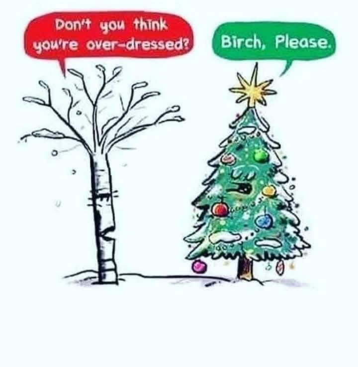 terrye_thorp's tweet image. Overdressed????
#Christmastree #Christmashumor