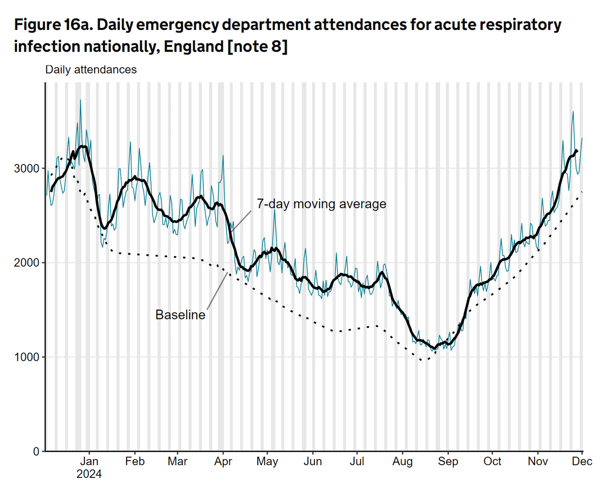 Damian Roland tweet media