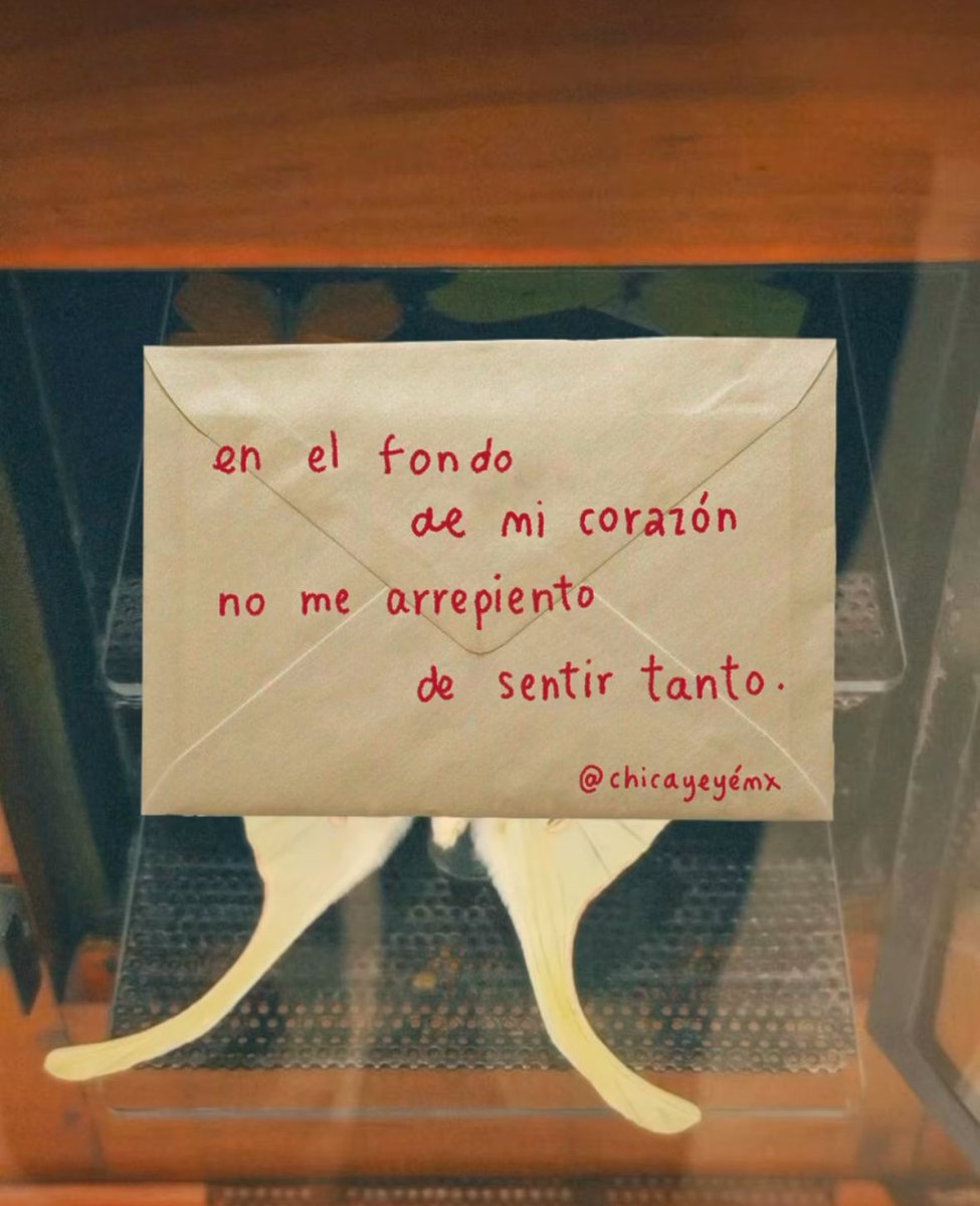 Dilo con dibujos tweet media
