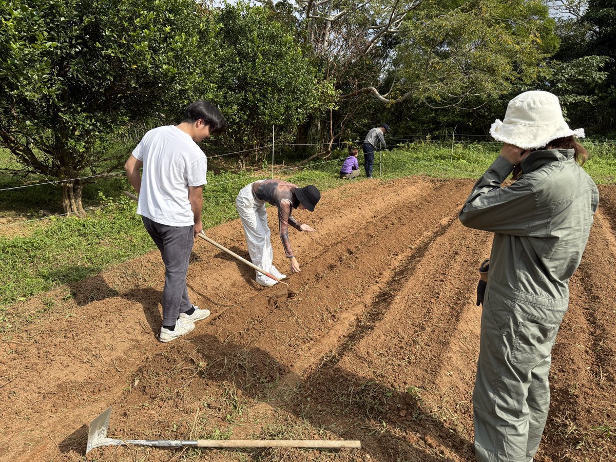 inahofarm's tweet photo. 農業体験���しんで種まきできたようで何よりです！ https://t.co/W2qFzFZuMv