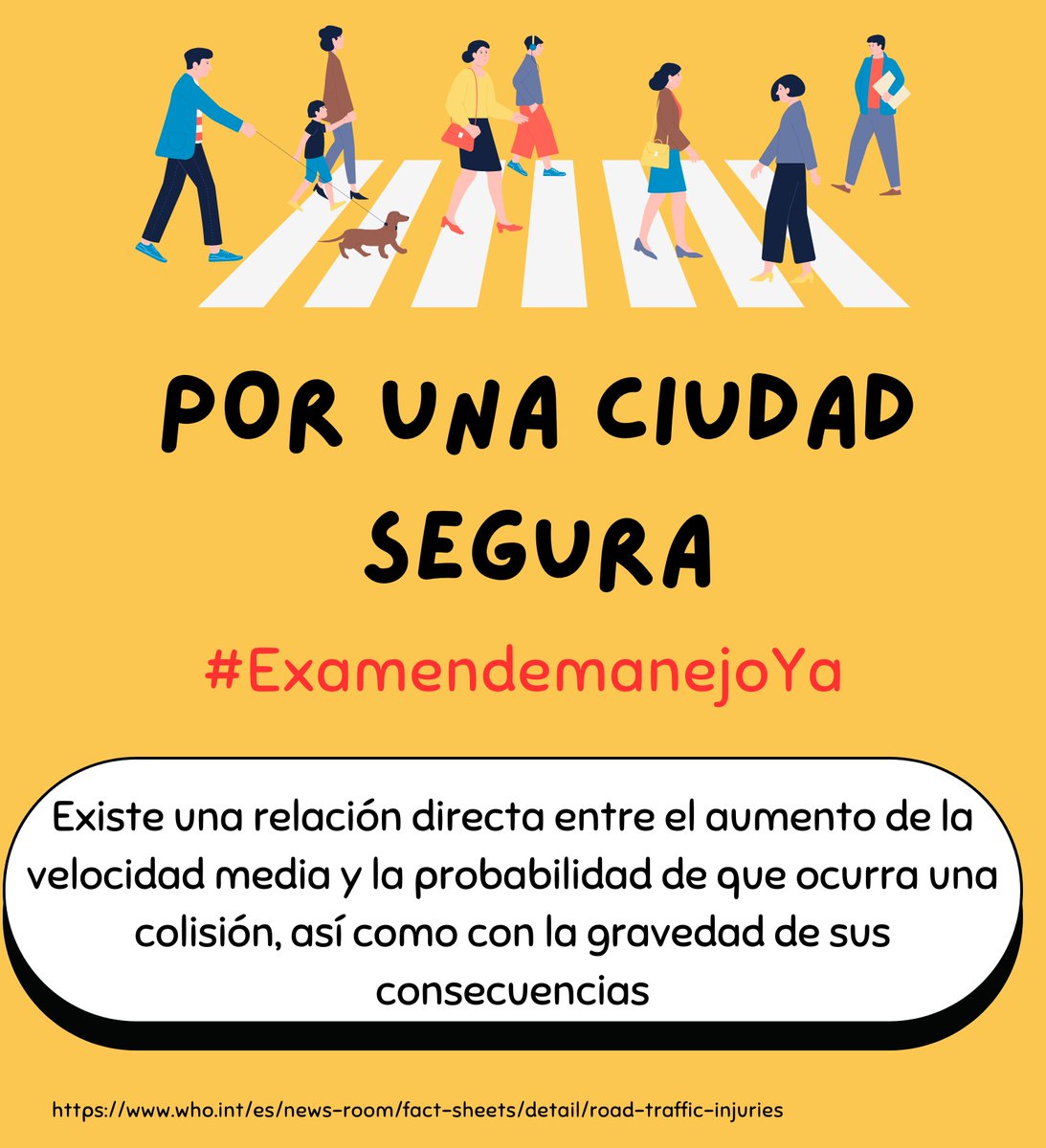 Licencia Con Examen tweet media