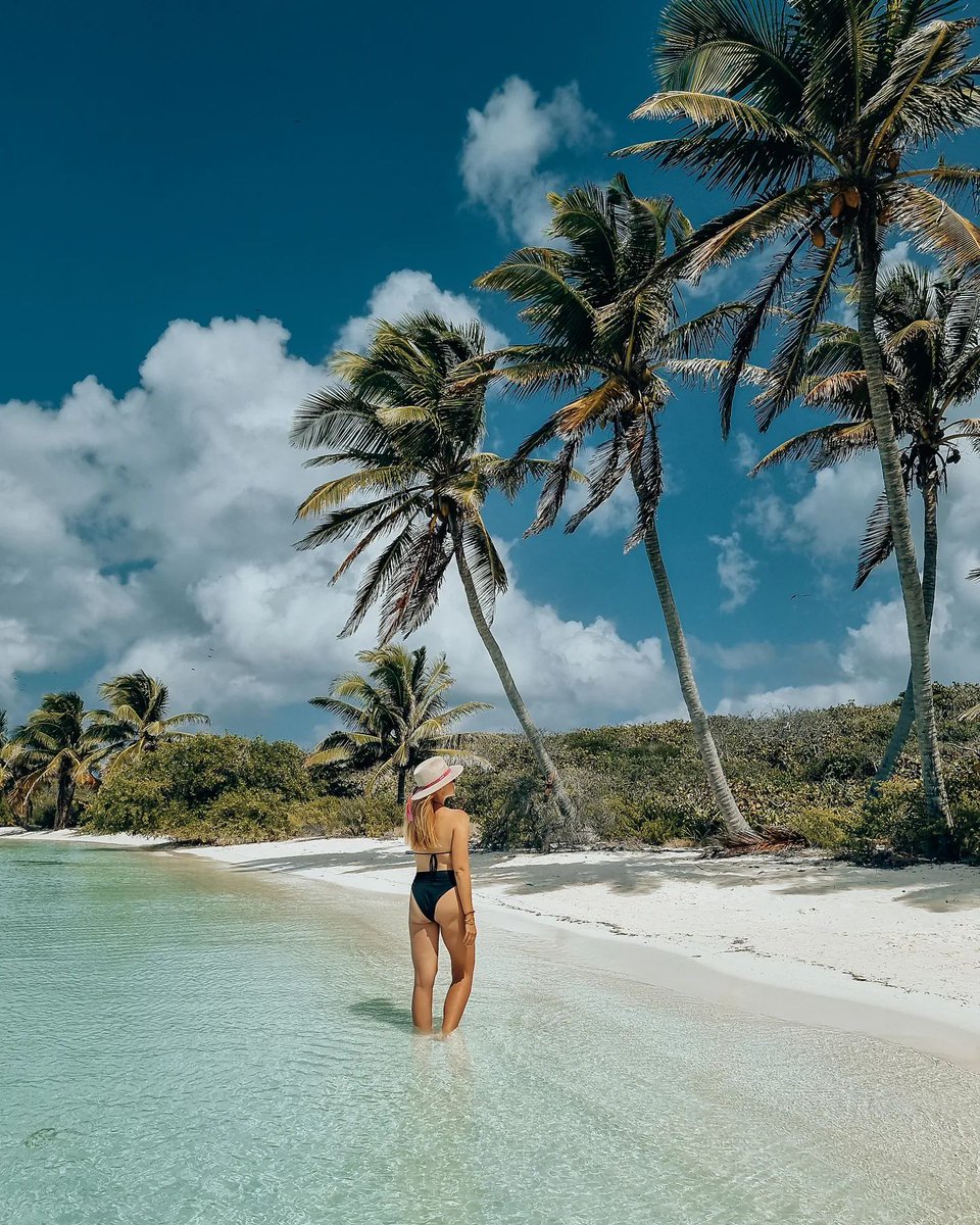 TheMexCaribbean's tweet photo. The undisturbed beach of #IslaContoy is perfect for capturing postcard-worthy shots of just you and the sea. 📸 🏖️
Book your tour! 🌴🙌
IG: olewandowska
#MexicanCaribbean #TheSignatureParadise https://t.co/tXvL3seiFY