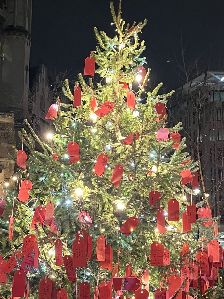 lindsay_hall3's tweet photo. We were humbled to have been invited and attend HRH Princess of Wales Christmas Carol Concert in Westminster Abbey. The service celebrated love, kindness and empathy within communities. @Lord_Lt_Notts https://t.co/sHbcr4FxeX