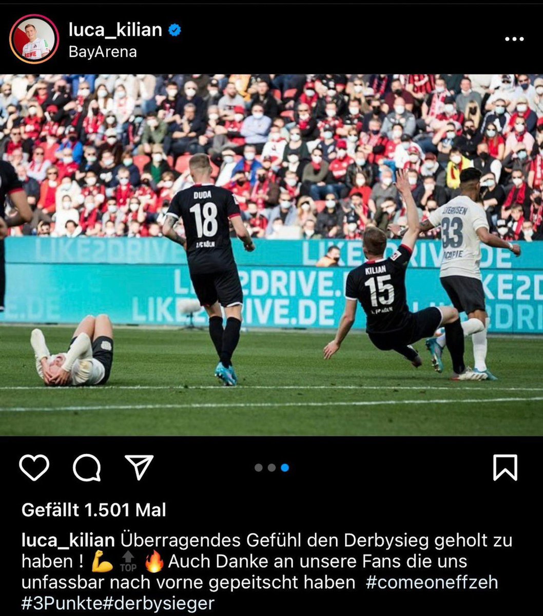 🐼 tweet media