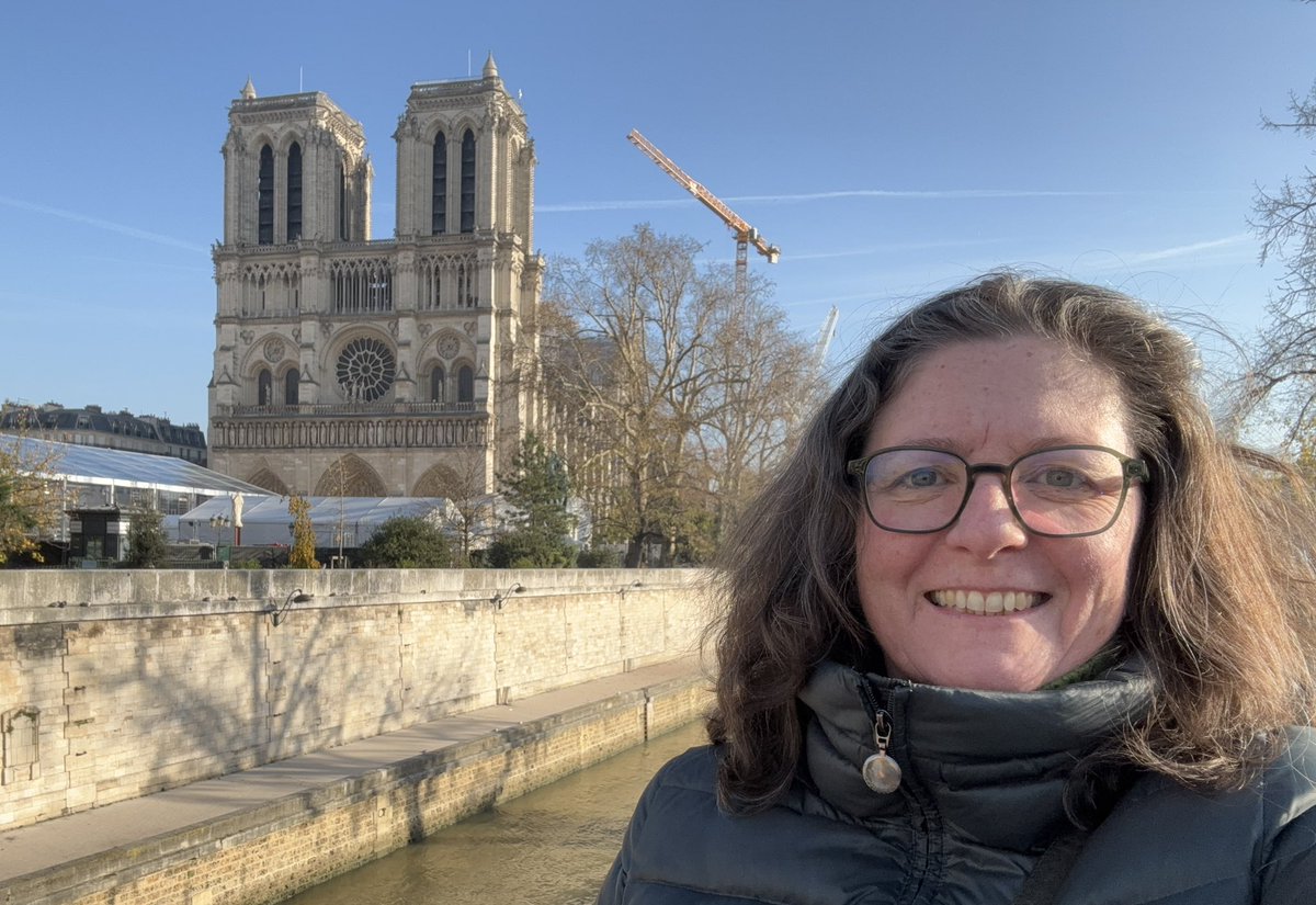 March 2019 - little did we know that three weeks later…
November 2024 - one week short of reopening
#NotreDameDeParis