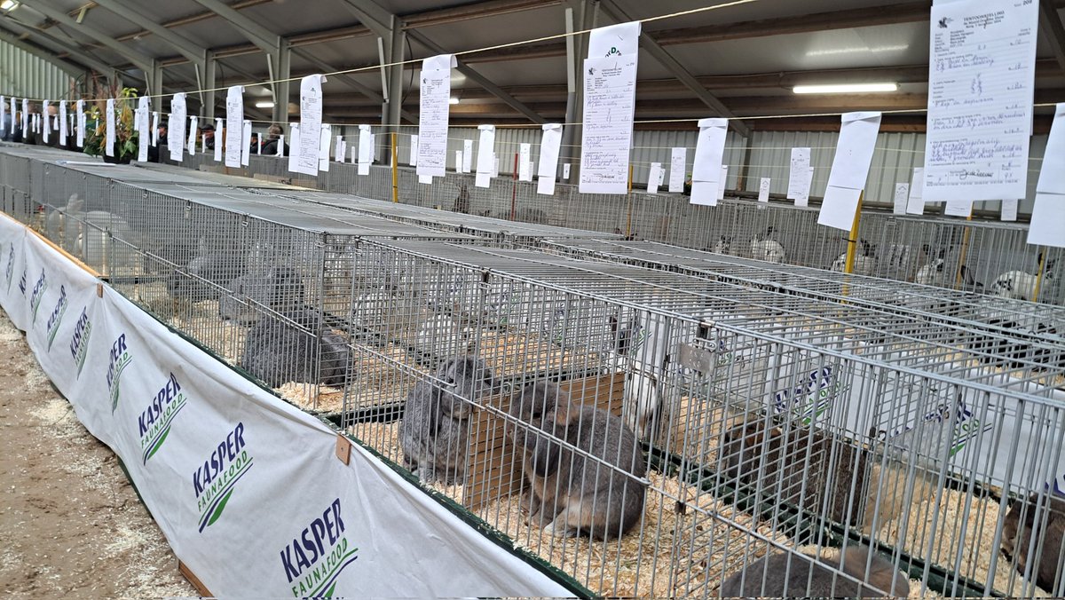 #dekrant #roderjournaal mooie kleindieren tentoonstelling gezien in norg,vereniging goed georganiseerd ,dikke pluim.