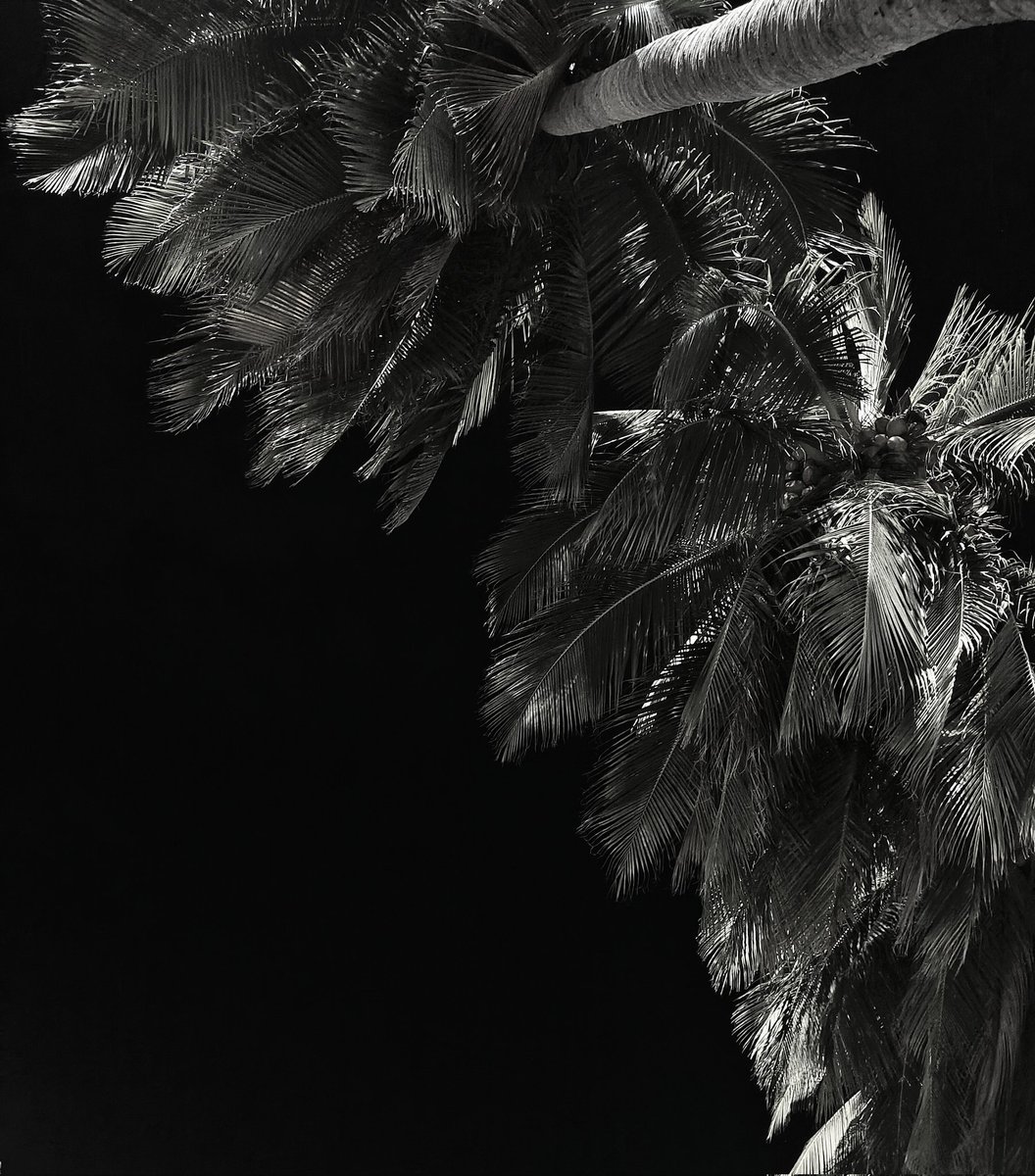 <a href="/21XCHANZ/">𝐂𝐇𝐀𝐍</a> <a href="/F1XRSTCLASS/">1st</a> <a href="/XHIAJKING/">HIAJKING</a>