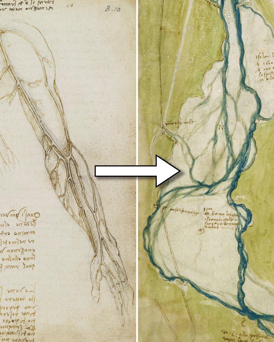 Jefersonnasa_'s tweet photo. En lo profundo de sus cuadernos, Leonardo da Vinci tuvo una idea alucinante:  

Que el cuerpo humano es un modelo a escala de la Tierra.  

Y esto es sólo el principio: su teoría cambiará la forma en que ves todo… https://t.co/6JmMuYGDl9