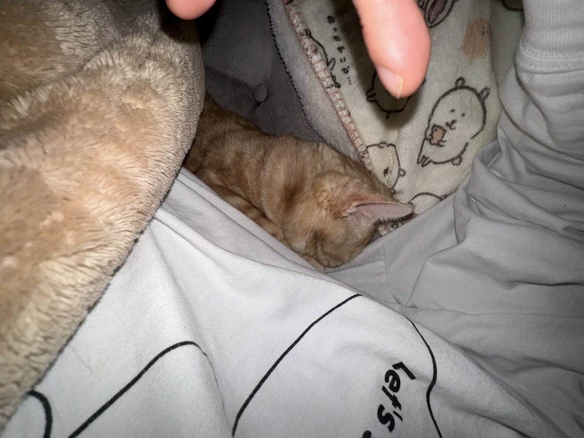 ハメ撮り。。。。 