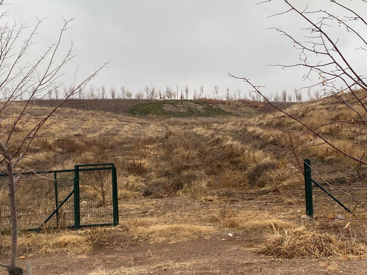 Yürütücülüğünü yaptığımız “Doğa Tabanlı Metropoliten Stratejiler: İmrahor Vadisi Uygulama Projesi” kapsamında Ankara Büyükşehir Belediyesi “Başkent Ankara Kalkınma Projesi (BAKAP) Tarım Kampüsü’nde “Su Hasadı ve Gösterim Bahçesi” uygulamasını başlattık.