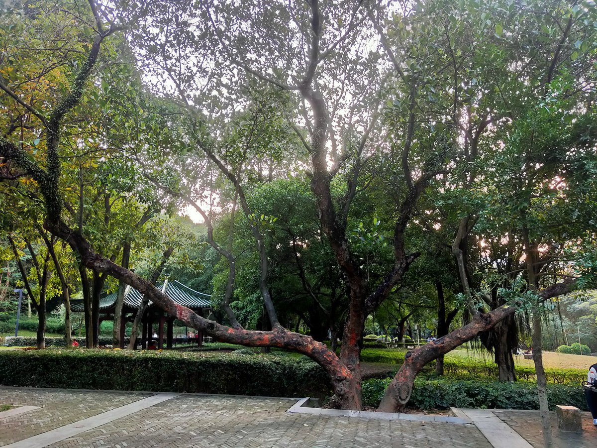 wangjiangliang's tweet photo. https://t.co/q3EsbeUmkI