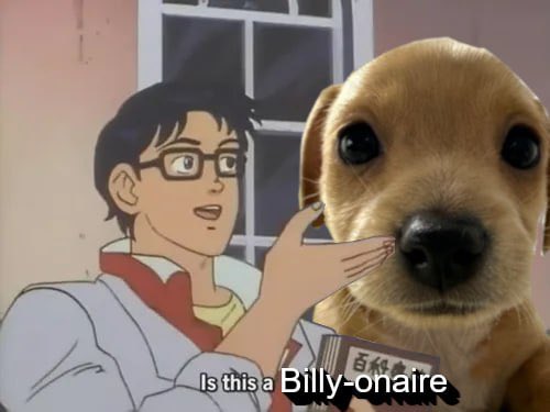 is this…billy?