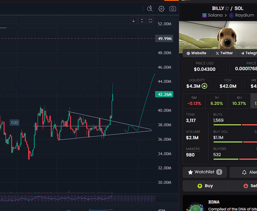 topbullstrade's tweet photo. @0xLunic yes $billy yes https://t.co/A0C74z12je