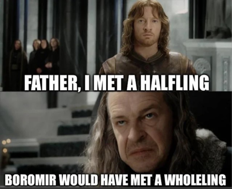 Lord of the Rings Memes tweet media