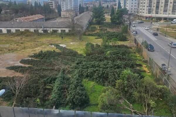 nekboa's tweet photo. Zatvaramo i poglavlje 27 🌲 https://t.co/JcEbJIDwzH