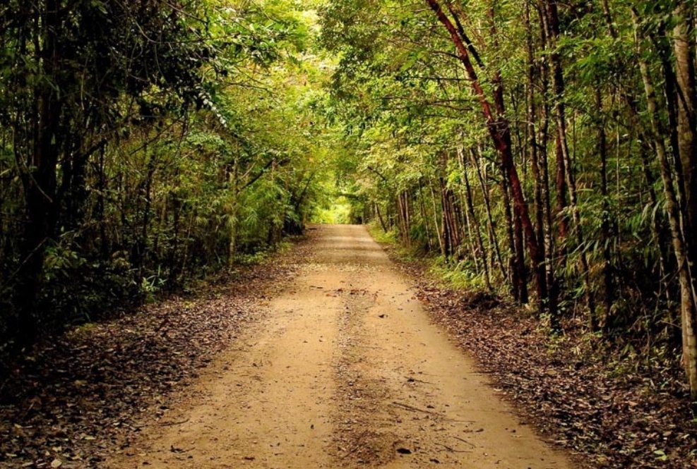 ธรรมชาติ จะบำบัดเอง