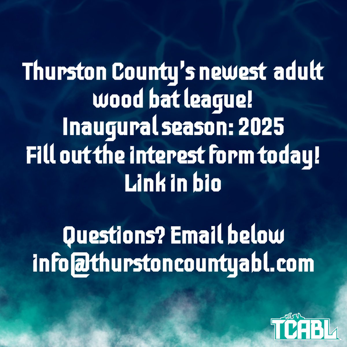 Thurston County Adult Baseball League tweet media
