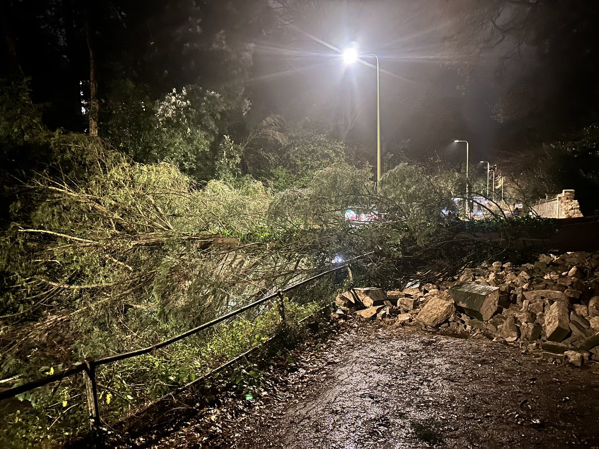 Mark Lygo tweet media