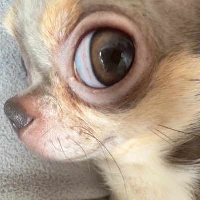 meatbawled's tweet photo. #NewProfilePic https://t.co/DvT9GGMJxv