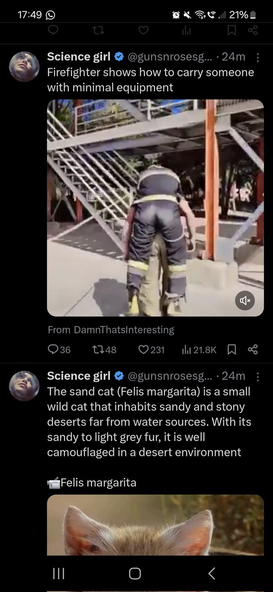 MegaHead tweet media